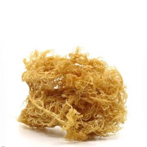 Irish sea moss